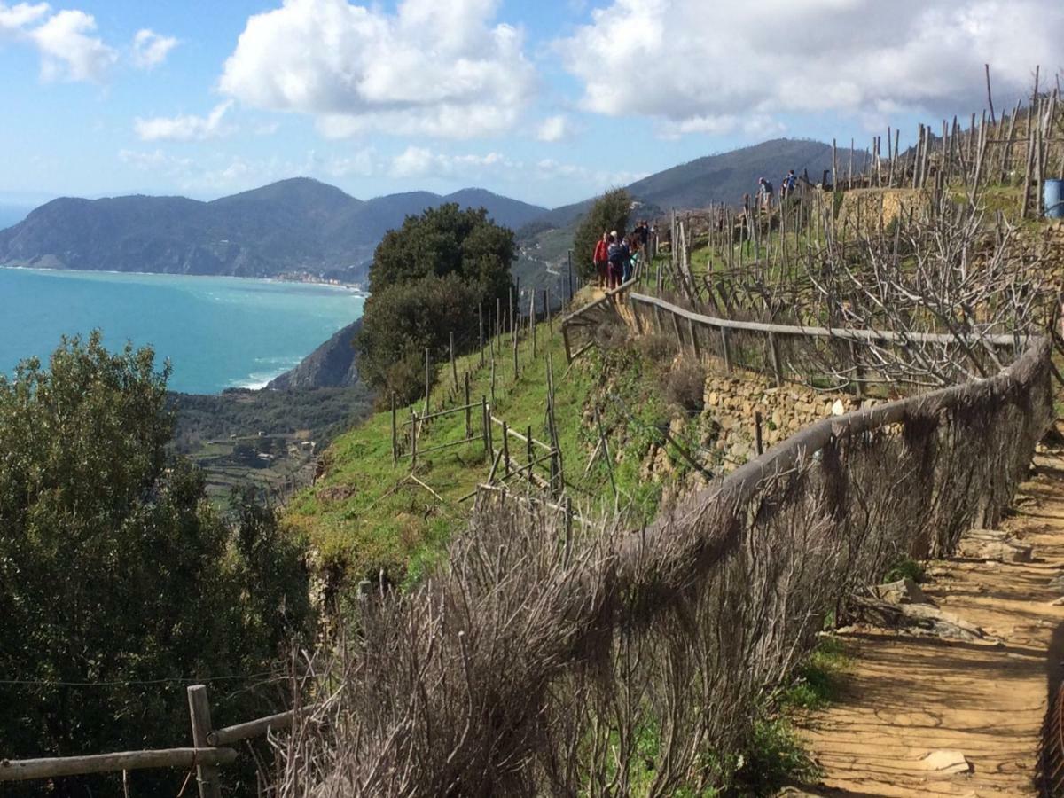 Appartamento Vacanze "Borgo Cinque Terre" Volastra Manarola 外观 照片