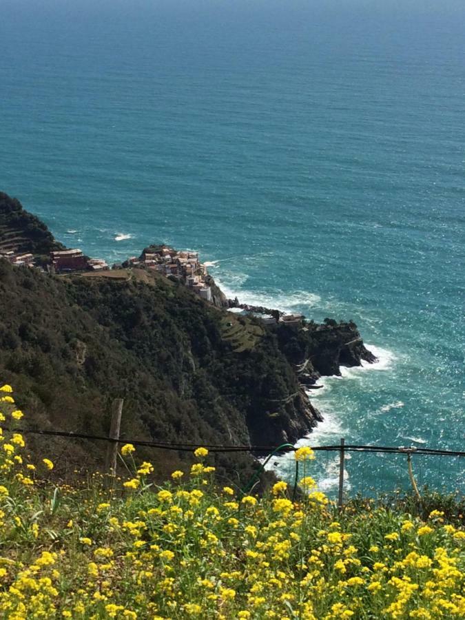 Appartamento Vacanze "Borgo Cinque Terre" Volastra Manarola 外观 照片
